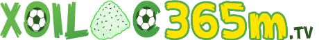 kết quả bóng đá v league 2023